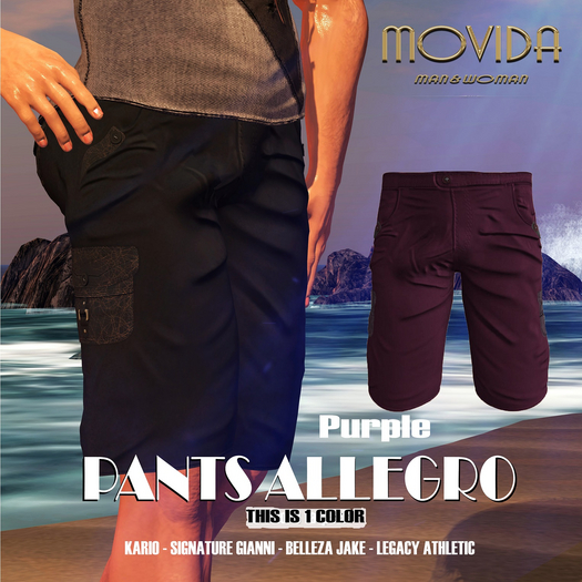 MOVIDA - PANT ALLEGRO PURPLE