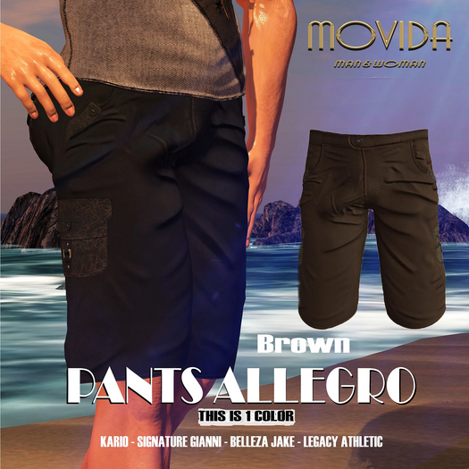 MOVIDA - PANT ALLEGRO BROWN