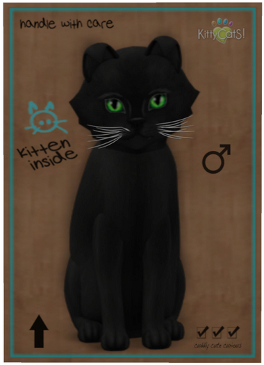 KittyCatS Box - Russian - Black