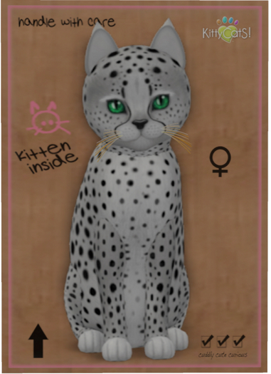 KittyCatS Box - Cheetah! - Silver