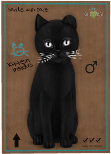 KittyCatS Box - Russian - Black