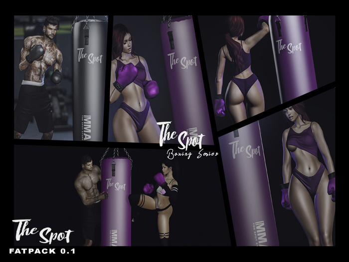 {The Spot} Boxing Series 0.1 Fatpack (5 Poses)