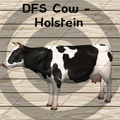 DFS Cow - Holstein 14