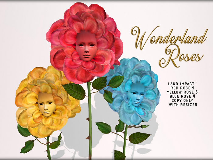 Boudoir-Wonderland Roses