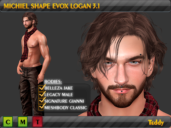 Michiel shape Evox Logan 3.1