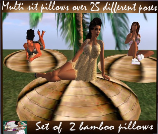 PDN: SET OF 2 BAMBOO MULTI SIT PILLOWS boxed