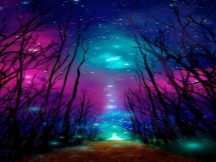 Enchanted Path Texture