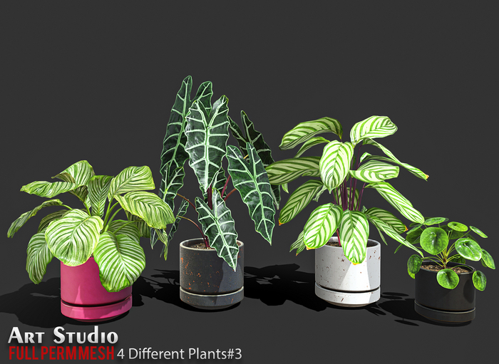 Art Studio.FULL PERM \\ 4 Different Plants#3