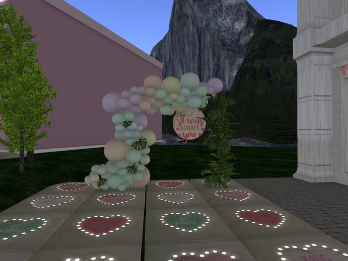 23 valen balloons with square plants