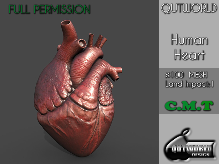 .::QUTWORLD Human Heart::.FP