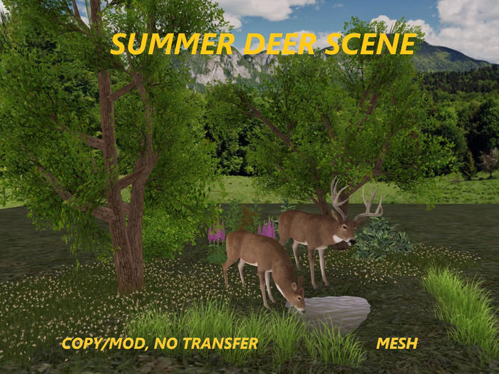 SUMMER DEER SCENE