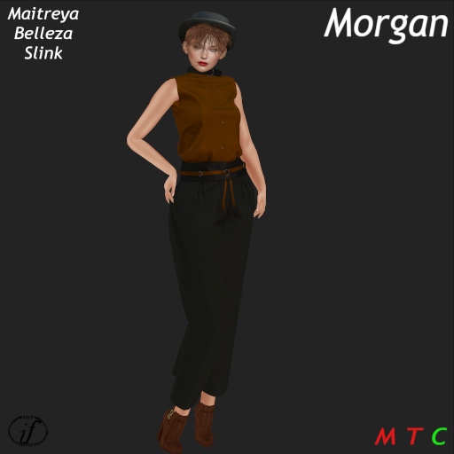 IF-DESIGNS- MORGAN -RUST  BAG