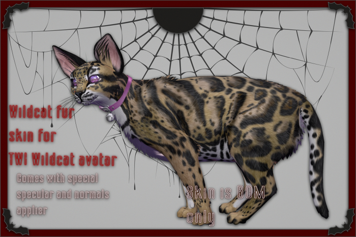 <Kali [*] Ma> TWI Wildcat fuzz Clouded  sand