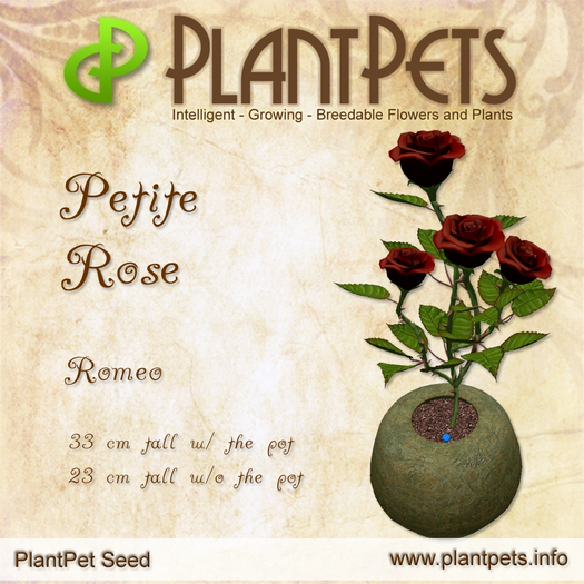 PlantPet Seed [Petite Rose *Romeo*]