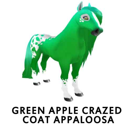 12TMGrnApplCrzdCoatAppa/PerdotStrShn