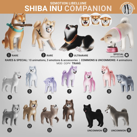 SEmotion Libellune Shiba Inu Companion COMMON 06