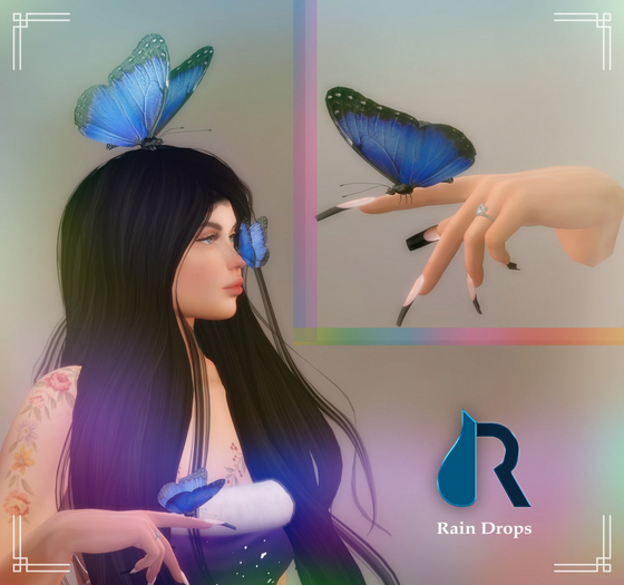 RD - Butterfly Blue 