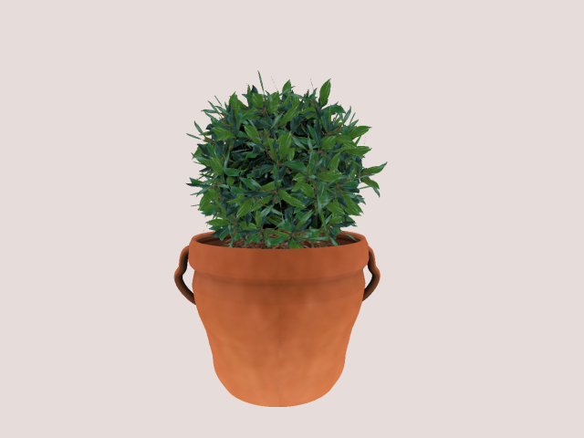 Mesh Plant in Brown Pot