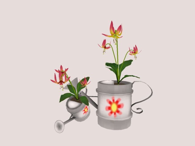Water Can with Mesh Flowers