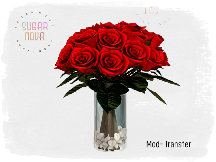 SN - TRANSFER - 2 Dozen Red Roses in Vase - Love Valentine 