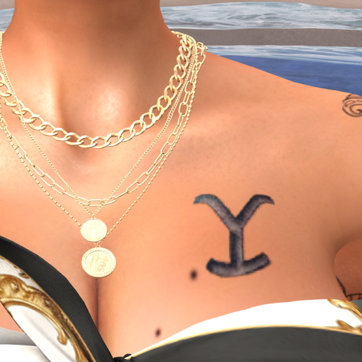 Dutton Yellowstone Letter Y Branded Tattoo Back & Front (Boxed)