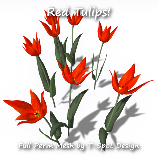 T-Spot Mesh - Red Tulips - FP - LI=0.5