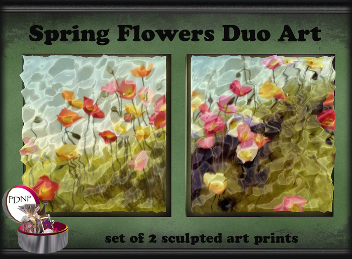 PDN: SPRING FLOWERS FRAMED ART DUO BOXED