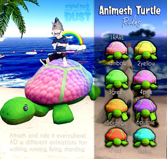 1 DUST: Animesh Turtle Ride [add] - Rainbow RARE