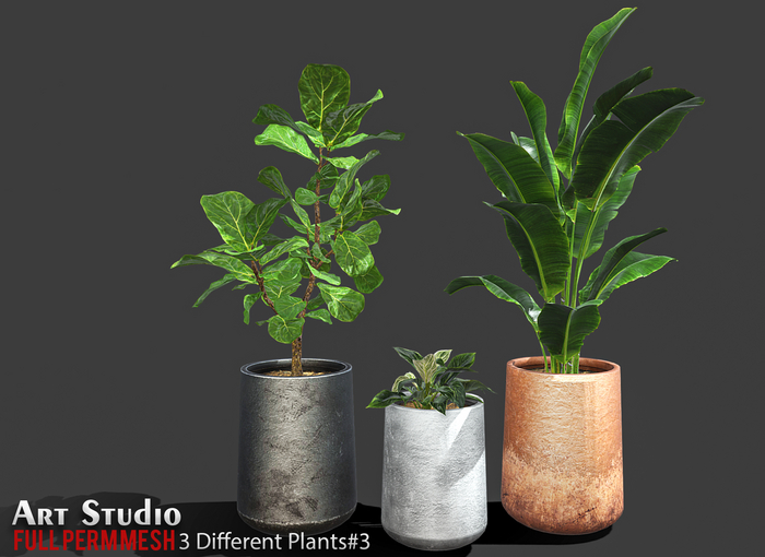 Art Studio.FULL PERM \\ 3 Different Plants#3