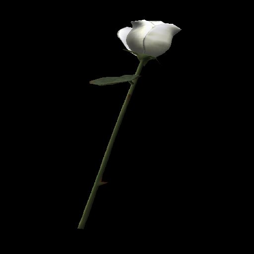DD's Simple White Rose w/gesture
