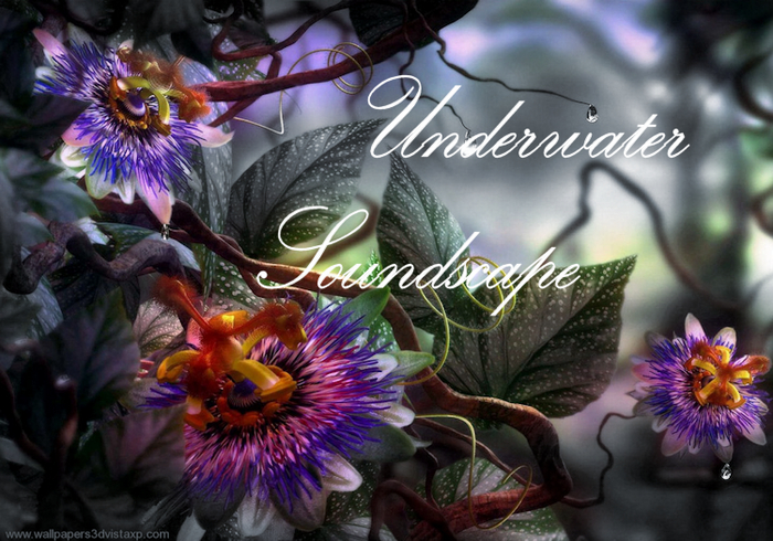 Bunny's Sounds-Underwater Fountain Soundscape