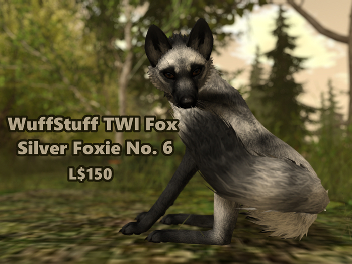 WuffStuff TWI Fox Silver Foxies No. 6