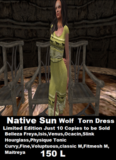 Native Sun wolf  Torn Dress