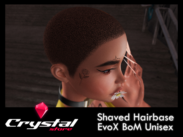 Shaved Hairbase EvoX / Crystal Store
