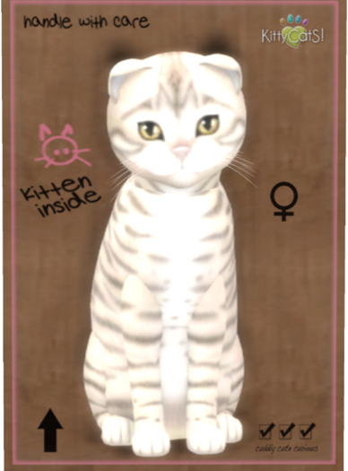 KittyCatS Box - Toyger - Snow