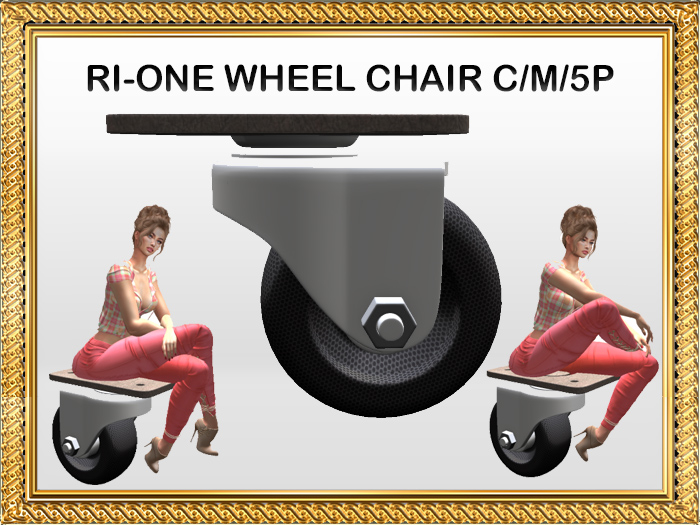 DEMO-RI-ONE WHEEL CHAIR C/M/5P