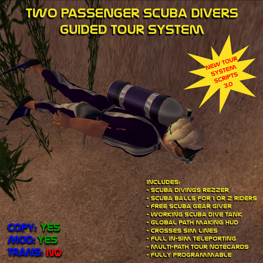 Scuba Divers Guided Tour