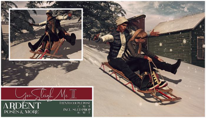 Ardent Poses - You Sleigh Me III