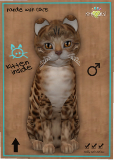 KittyCatS Box - Bengal - Sorell