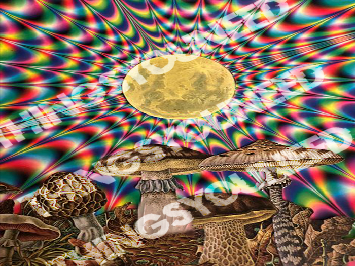 Shroom Day Trippy Tapestry