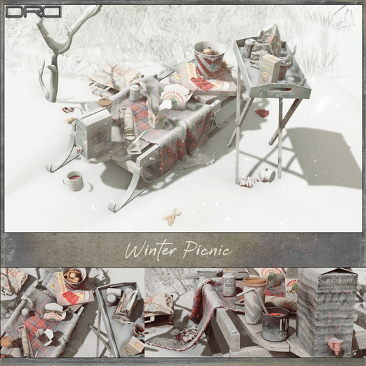-DRD- Winter Picnic