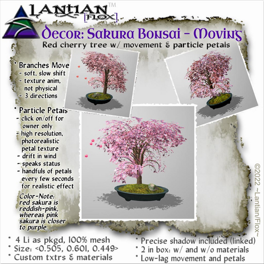 ~L/Fx~Sakura Cherry Bonsai, Red (w/petals) MCtbox