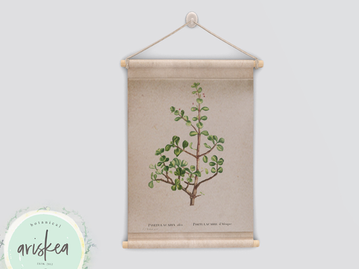 Ariskea[Millie] Botanical Paper Frame