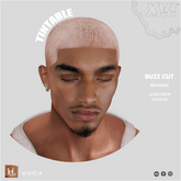 XVI - Buzz Cut / EvoX HD