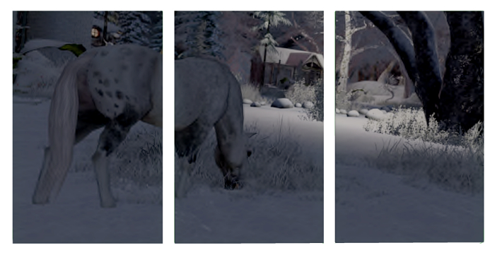 ::SV Photography:: 3 Panel Winter Horse
