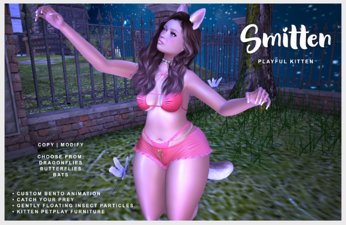 : Smitten : Playful Kitten