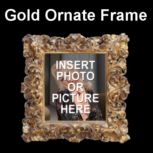 Gold Ornate Picture or Photo Frame