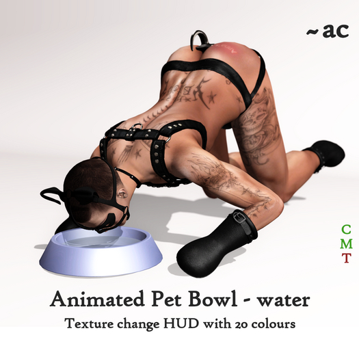 ~AC Pet Bowl - water