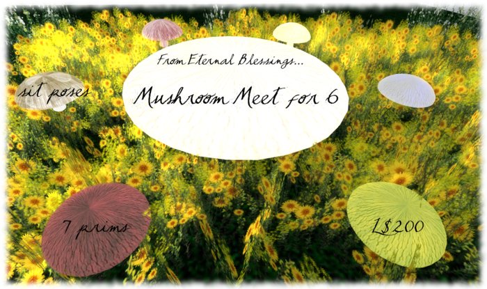Eternal Blessings Mushroom Meet for 6