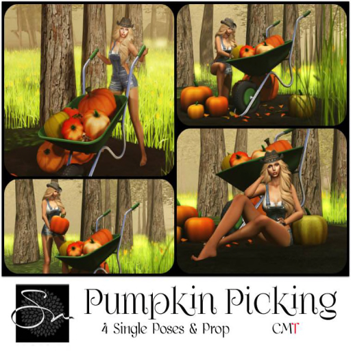**SN~ Pumpkin Picking